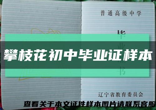 攀枝花初中毕业证样本缩略图