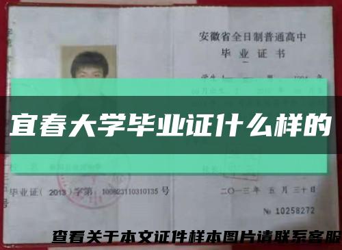 宜春大学毕业证什么样的缩略图
