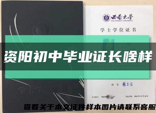 资阳初中毕业证长啥样缩略图