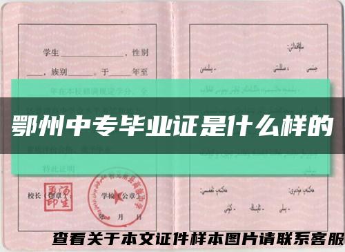 鄂州中专毕业证是什么样的缩略图