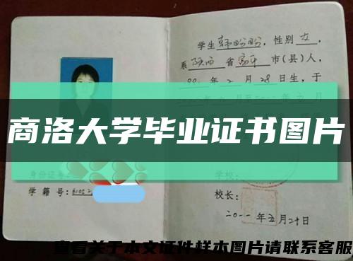 商洛大学毕业证书图片缩略图