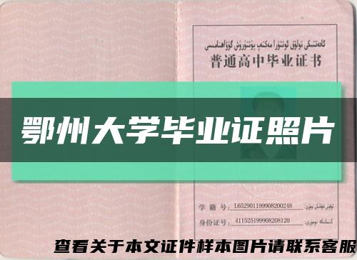 鄂州大学毕业证照片缩略图