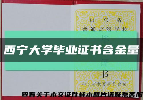 西宁大学毕业证书含金量缩略图