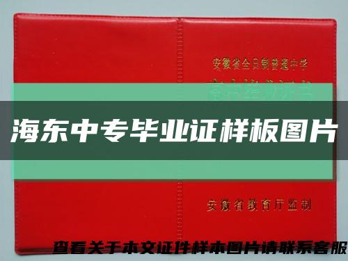 海东中专毕业证样板图片缩略图