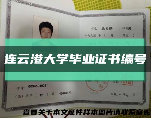 连云港大学毕业证书编号缩略图