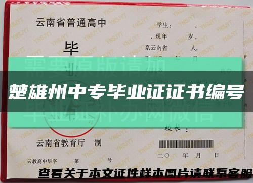 楚雄州中专毕业证证书编号缩略图