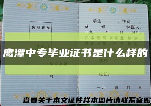 鹰潭中专毕业证书是什么样的缩略图