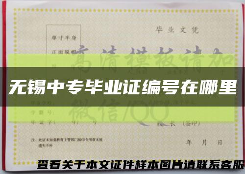 无锡中专毕业证编号在哪里缩略图
