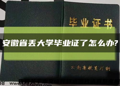 安徽省丢大学毕业证了怎么办?缩略图