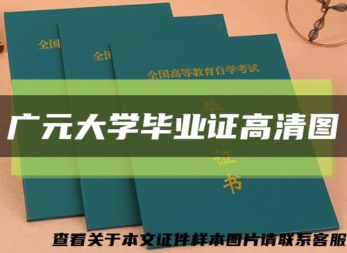 广元大学毕业证高清图缩略图