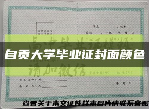 自贡大学毕业证封面颜色缩略图
