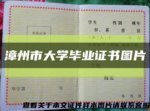 漳州市大学毕业证书图片缩略图