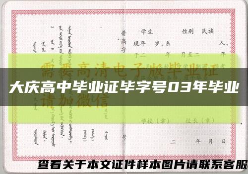 大庆高中毕业证毕字号03年毕业缩略图
