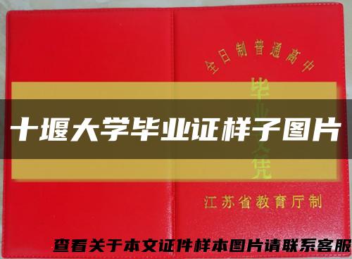 十堰大学毕业证样子图片缩略图