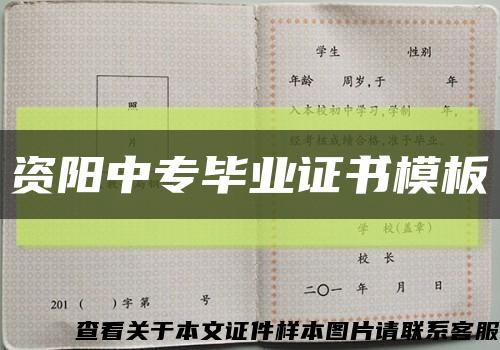 资阳中专毕业证书模板缩略图