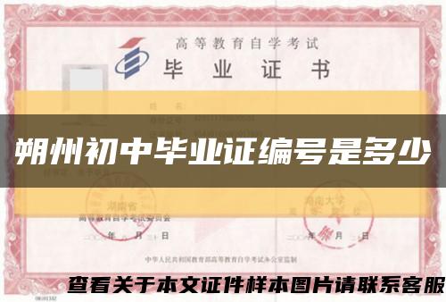 朔州初中毕业证编号是多少缩略图