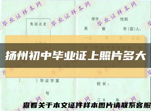 扬州初中毕业证上照片多大缩略图