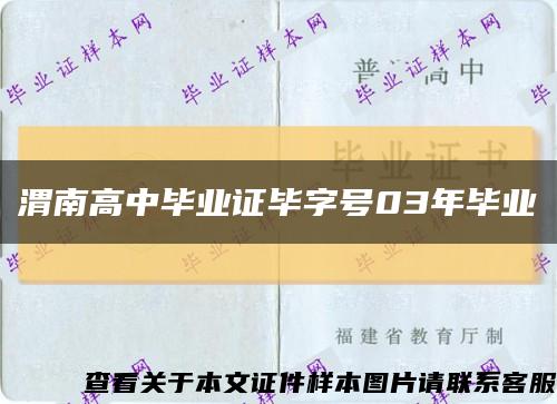 渭南高中毕业证毕字号03年毕业缩略图