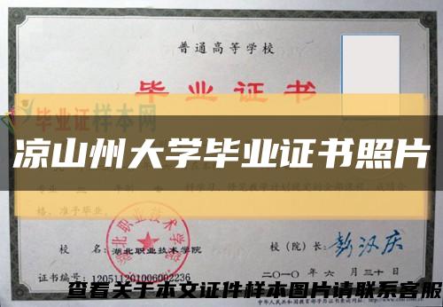 凉山州大学毕业证书照片缩略图