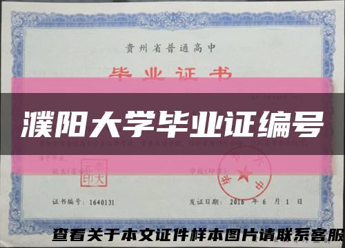 濮阳大学毕业证编号缩略图