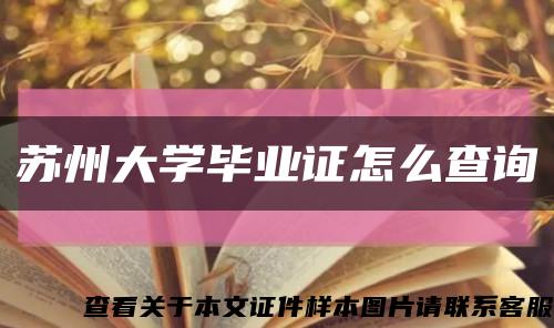 苏州大学毕业证怎么查询缩略图