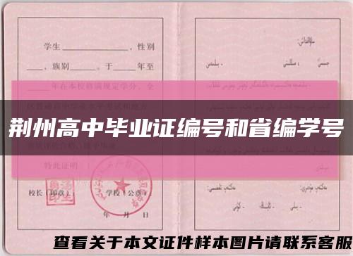 荆州高中毕业证编号和省编学号缩略图