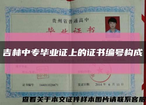 吉林中专毕业证上的证书编号构成缩略图