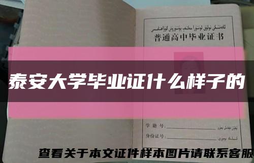 泰安大学毕业证什么样子的缩略图