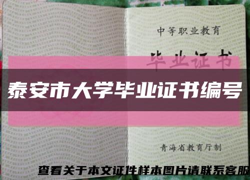 泰安市大学毕业证书编号缩略图