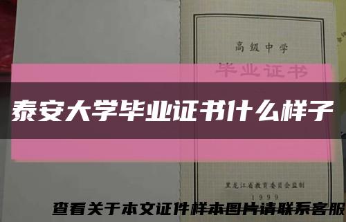 泰安大学毕业证书什么样子缩略图