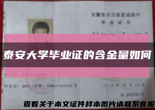 泰安大学毕业证的含金量如何缩略图