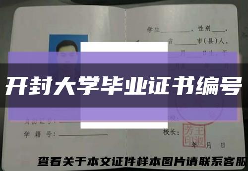 开封大学毕业证书编号缩略图