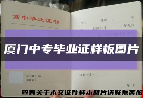 厦门中专毕业证样板图片缩略图