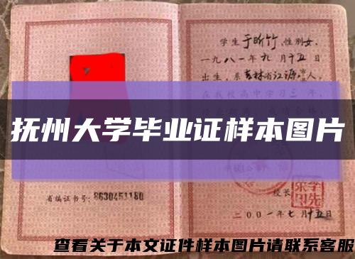 抚州大学毕业证样本图片缩略图