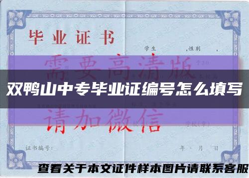 双鸭山中专毕业证编号怎么填写缩略图