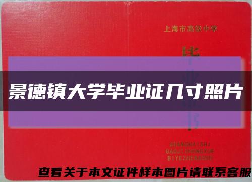 景德镇大学毕业证几寸照片缩略图