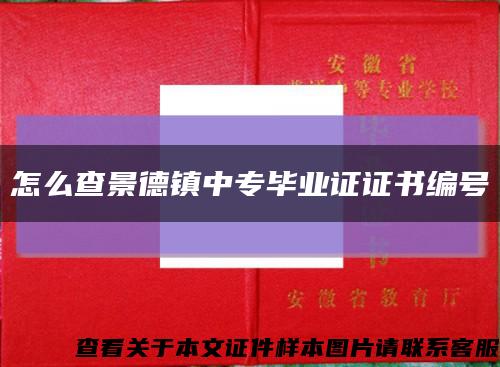 怎么查景德镇中专毕业证证书编号缩略图