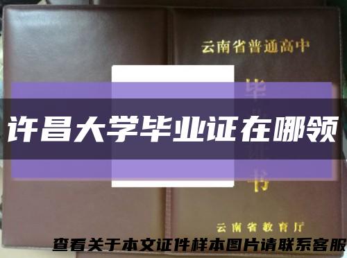 许昌大学毕业证在哪领缩略图
