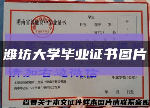 潍坊大学毕业证书图片缩略图