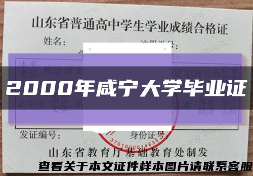 2000年咸宁大学毕业证缩略图