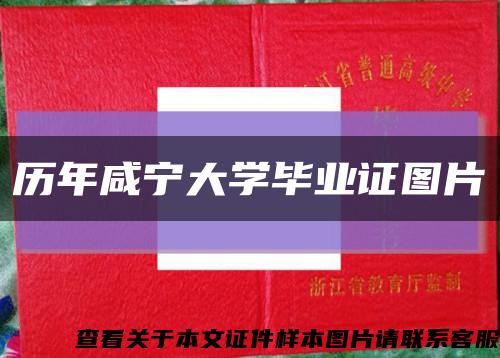 历年咸宁大学毕业证图片缩略图