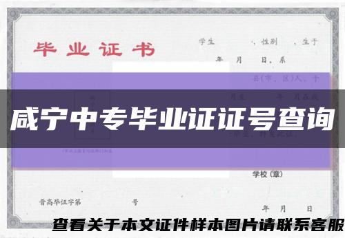 咸宁中专毕业证证号查询缩略图