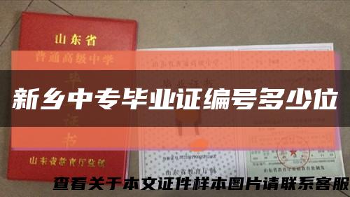 新乡中专毕业证编号多少位缩略图