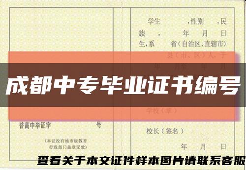 成都中专毕业证书编号缩略图