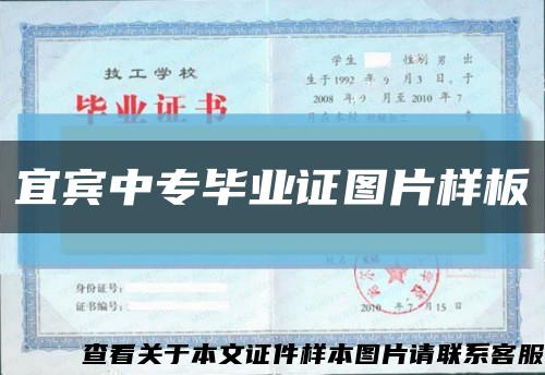 宜宾中专毕业证图片样板缩略图