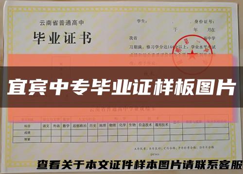 宜宾中专毕业证样板图片缩略图