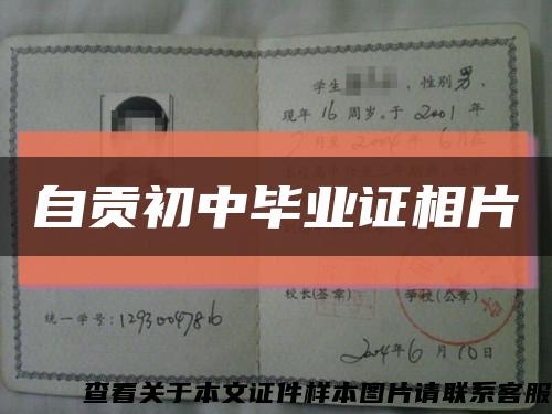 自贡初中毕业证相片缩略图