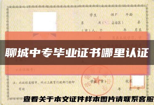 聊城中专毕业证书哪里认证缩略图
