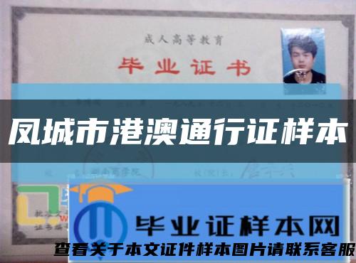 凤城市港澳通行证样本缩略图