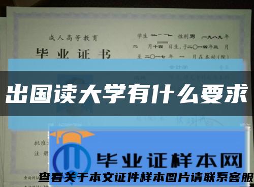 出国读大学有什么要求缩略图